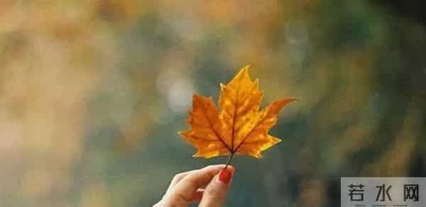 告诉你一个残忍的人际关系:你和任何人的关系,并非对别人有多好