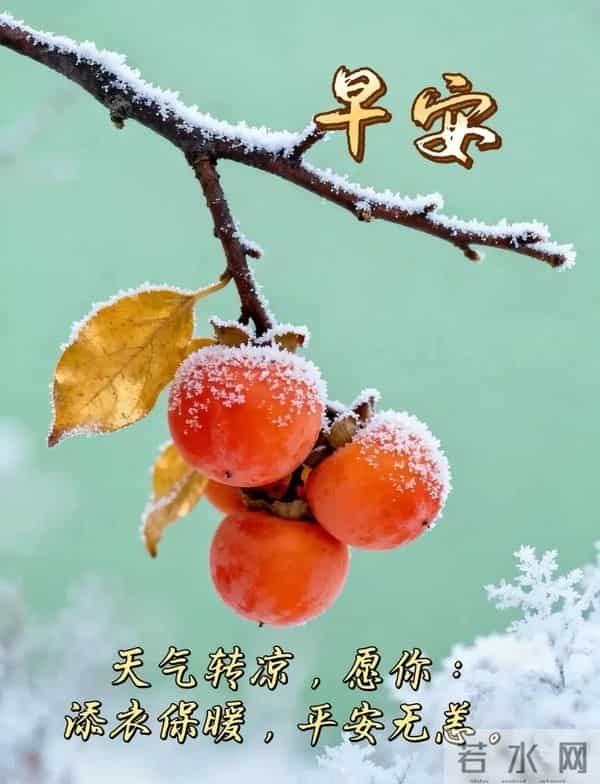 早安快乐！新的一周，一切顺遂，好运无忧！