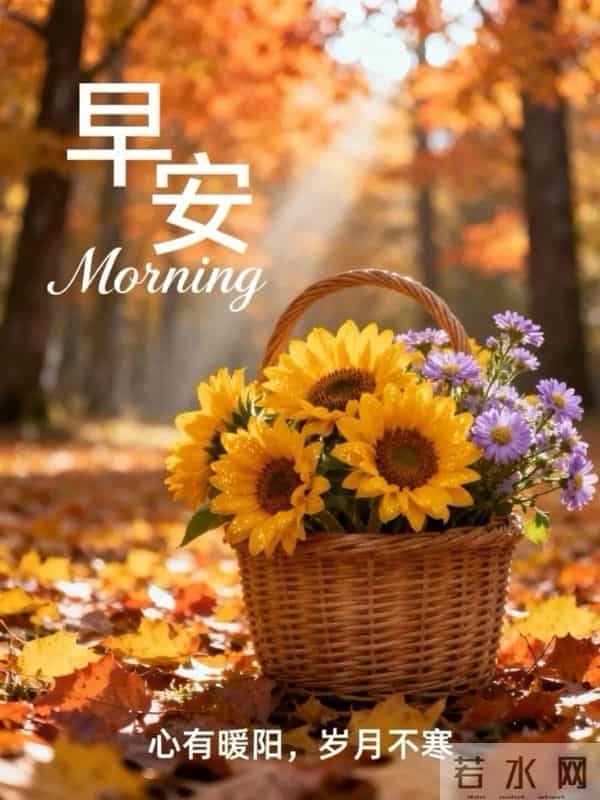 早安心语 时光不会偏爱谁,但会善待用心生活的人