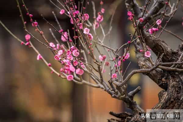 老年朋友们，只要你能走路自己做饭，身没大病，你就是最幸福的人