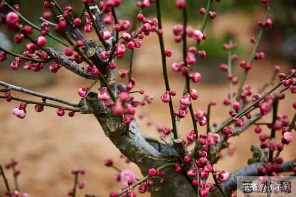 黄泉路上无老少,如果你60岁还活着,你已经够幸运了!