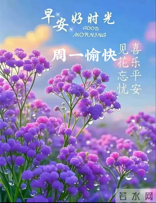 2025年11月24日周一早上好温馨问候语 早安图片 早安祝福精美图片
