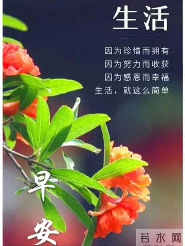 早安,愿今日所得,皆为心之所向