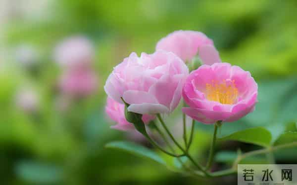 "聪明人，从不社交"，真正通透的人，早已退出了人脉的竞技场。