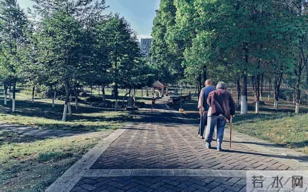 63岁的我,搭伙三次才知道,女人过了60岁找对象太难了,太真实。