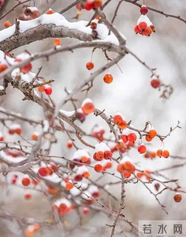 浅冬微寒，阳光轻暖
