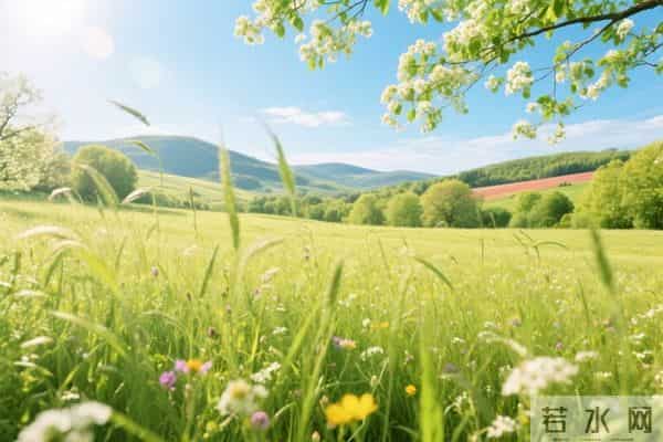 余生,学会接纳所有,放过自己:健康长寿,才是人生顶配的赢