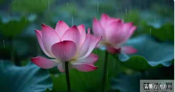 注意了!恭喜你,近期鸿运当头,喜事接连上门!