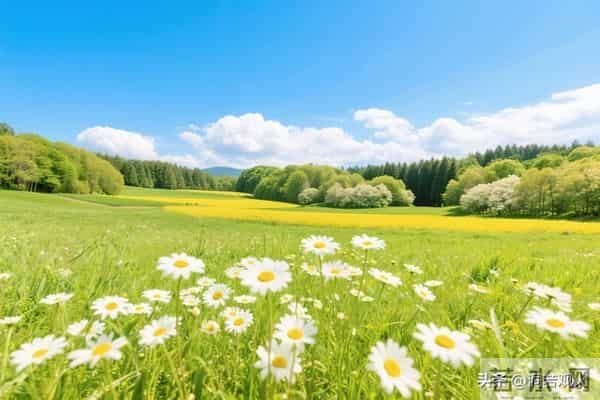 两性关系：55-65岁这十年，惜命的方式，不是锻炼，是做好这6点