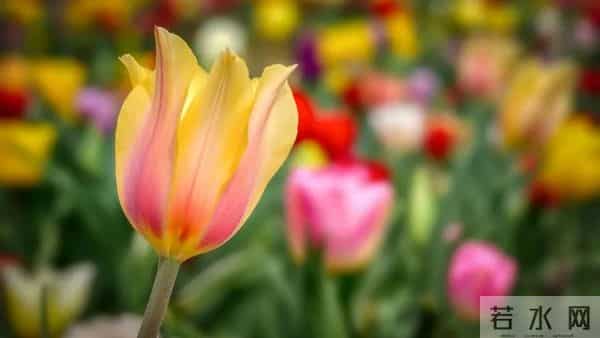 “人来害你，一看便知”：想害你的人，一般有这5个征兆。