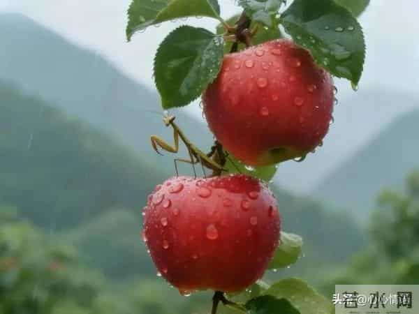 过了60岁才明白：女人找老伴，图的不是钱，不是人，而是一扇门