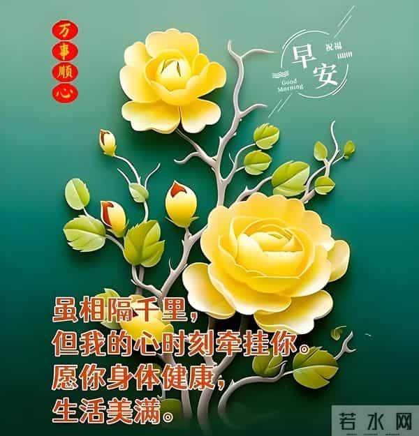 11月24日早上好 早上好问候图片最新今天 早安你好