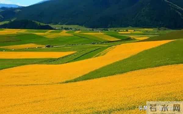 不论和谁相处,你越是这样做,对方越会尊重你,别不信