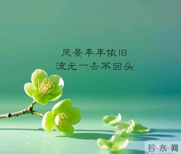 世界很甜,因为有你。