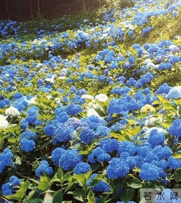 婚姻还是原配好,为何老年人说宁愿嫁娶离异的,也不嫁娶丧偶的?