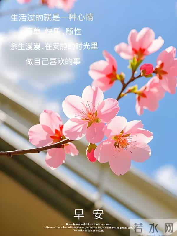 朋友圈早安文案,愿今日的你,如这林间的光,既温柔,又充满力量