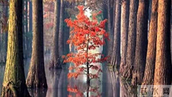 50岁后,不管男女,都不要做的8件事,一件没做,妥妥人生赢家