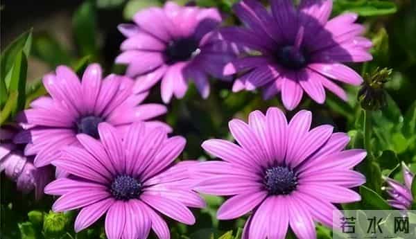 人在容易赚到钱的日子里,一定要存钱