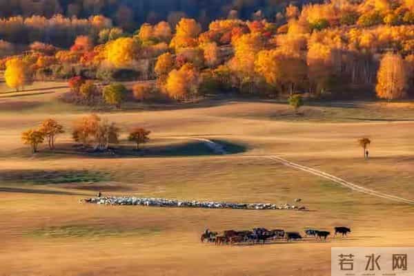 别不信，你的好日子要扎堆来啦，快准备接招！
