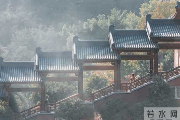 有福无福，4个特征一眼看穿！过半就算赢