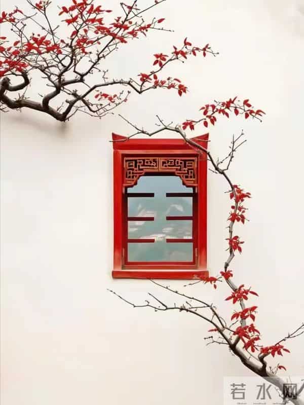 老了才发现，子女越有出息，父母的晚年往往越孤单！你认同吗？