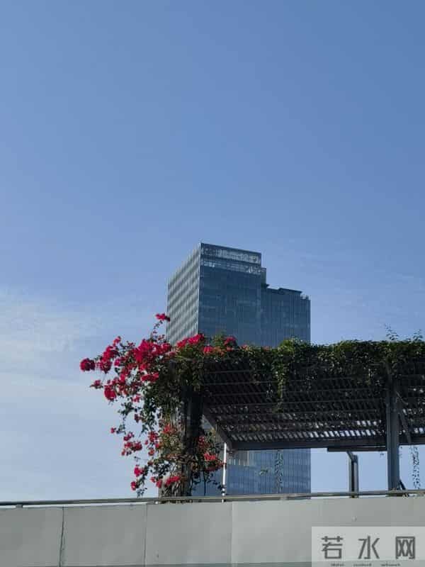 真的真的，真的真的真的真的想你了