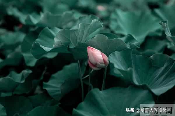 人退休后,最从容的活法:关闲门,养心性,踏山河