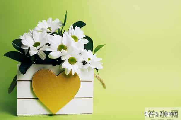 我和老公是丁克，却在十五年结婚纪念日当天，看见他陪别人做产检