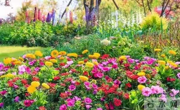 异性之间,频繁有这两种“互动”,就算没说爱,也早已动心