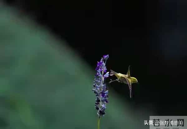 两性关系:63岁的我搭伙三次才知道,女人过了60岁找老伴太难了