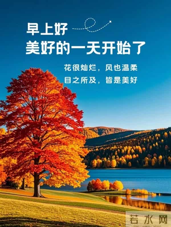 11月24日早上好 早上好图片最新今天 早安问候图片 早安暖心的句子