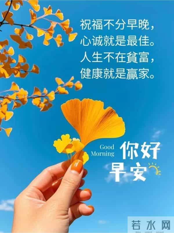 11月24日早上好 早上好图片最新今天 早安问候图片 早安暖心的句子