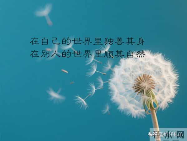 繁华满地，流年如诗不如你。