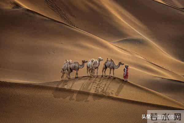 过了50岁,夫妻之间最大的隐痛,其实很少有人敢说出口