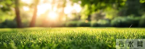 今天,接属于你的好运。