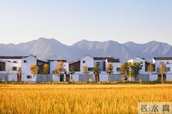 单身人口直奔3亿,年轻人选择不婚是觉醒还是无奈?