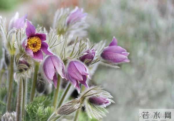 我和老公是丁克，却在十五年结婚纪念日当天，看见他陪别人做产检
