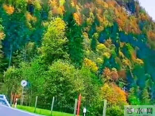 我退休金4700搭伙老伴每月出1000，吃住在我家，1年后把他赶出家