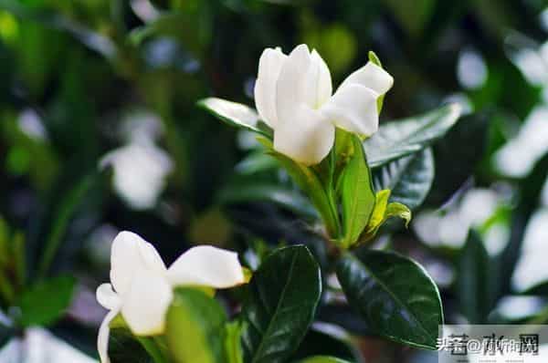 两性关系，惊人发现，60岁与异性靠近，根本不是桃花运，而是这