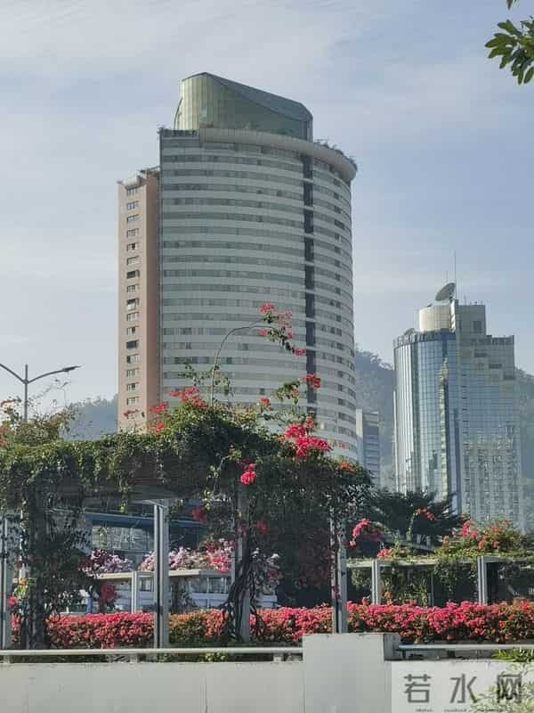 真的真的，真的真的真的真的想你了