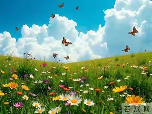 写给最爱的你：不能打扰，不能联系，就在梦里一直陪着你