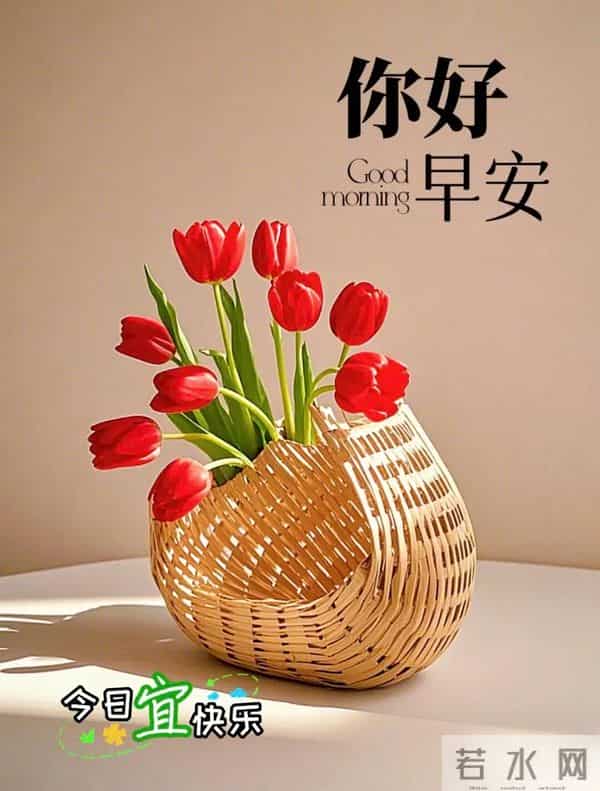 早安快乐！新的一周，一切顺遂，好运无忧！