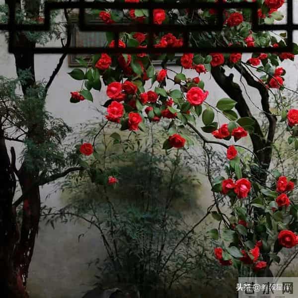 天蝎座，下周做好这1件事，能扫清前3个月的阻碍！