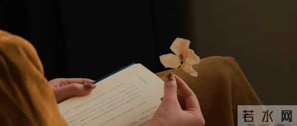 (完)我笑着替他系领带,心想:这张脸,今晚得跪在婚礼上挨抽