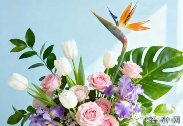 说起来好害羞呀!我今年都63岁了,和老伴分房睡已经十几年了!