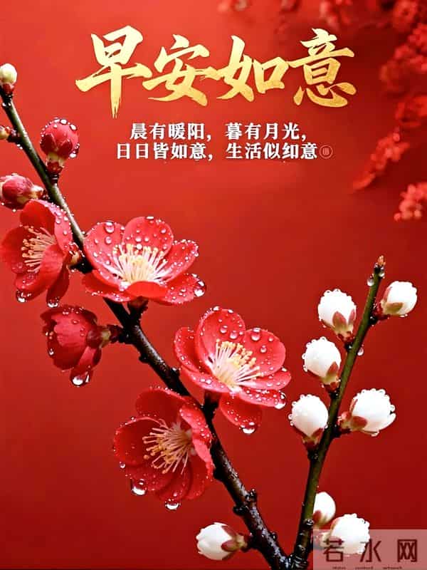 2025.11.24周一早安丨愿你本周好运满满，能量满满