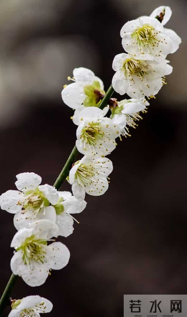 女人想要“越界”，会这样对你