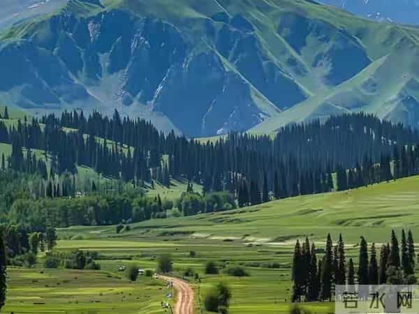 散文，在时间的沙谟里，你是唯一的绿洲