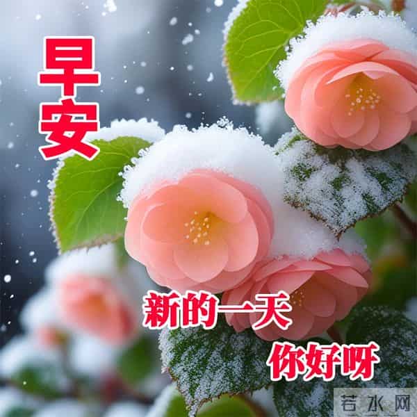 晨曦寄愿，岁月含情。新日已至，早安！