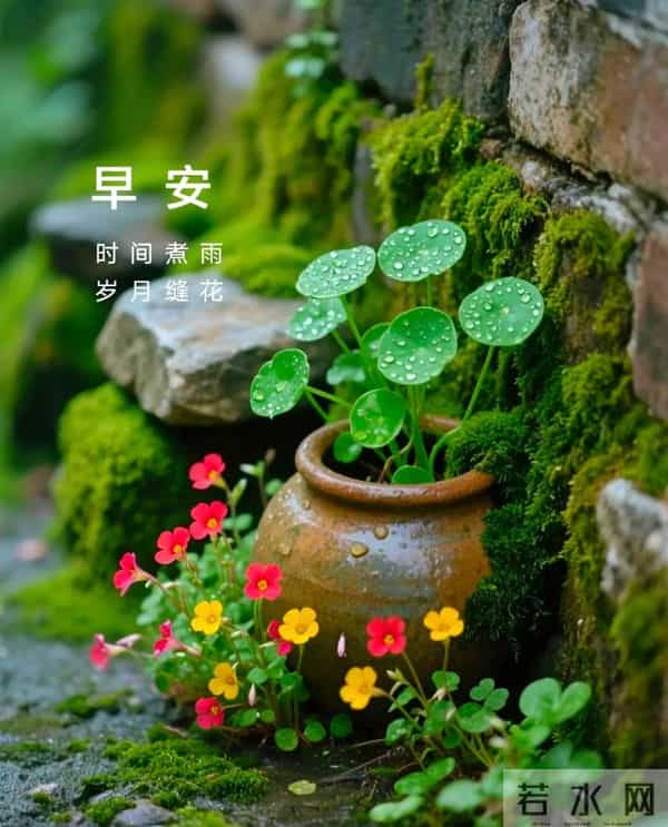 11月24日早上好 早上好图片最新今天 早安问候图片 早安暖心的句子